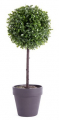 OZNAM pre návštevníkov Arboréta Mlyňany SAV 29. 6. - 01. 07. 2022
