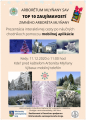 TOP 10 zaujímavostí zimného Arboréta Mlyňany SAV