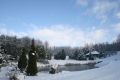 Arborétum Mlyňany SAV je otvorené aj zime