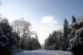 Zimná prechádzka v Arboréte Mlyňany SAV